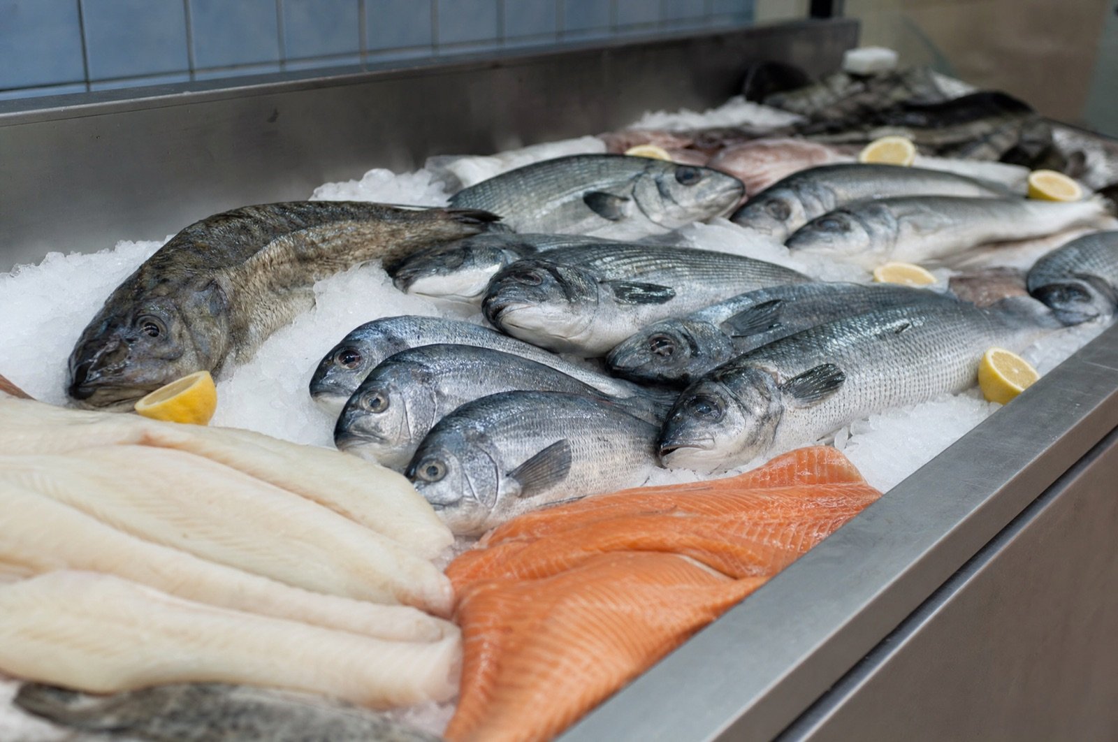 Bancada de peixes